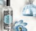 Popular Perfume Trends in Bangladesh Top Scents of